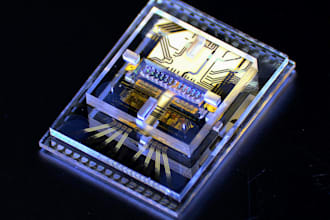 develop you projects on arm, 8051, and fpga platforms
