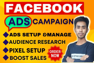 be an expert facebook ads manager, fb ads campaign, meta ads