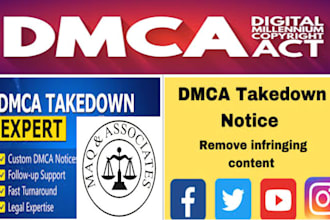 provide expert dmca takedown notice services