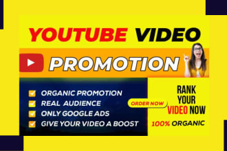 do organic youtube video promotion and seo expert