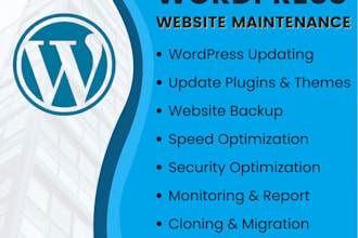 do wordpress maintenance, website update and support