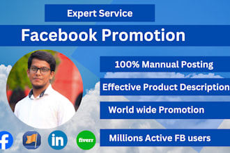 do promote your business in USA millions of people