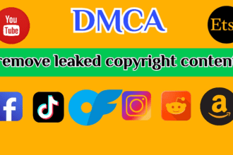 send dmca takedown notice copyright,infringement fb,google,ig,twitter,onlyfans,