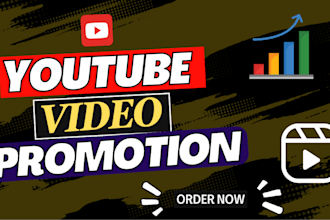 do professional youtube video promotion to real audience