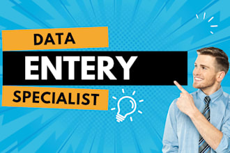 be a dedicated data entry on excel