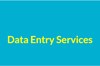 provide data entry services