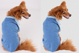 do model hair masking completely image or photoshop masking awesome