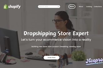 build a 7 figure shopify ecommerce website development, shopify dropshipping
