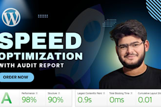 do wordpress site speed optimization, speed up website, google pagespeed insight