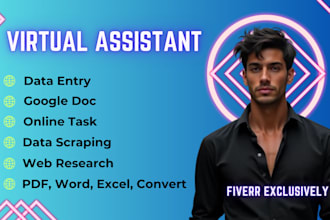 be your virtual assistant for data entry work within 24 hours