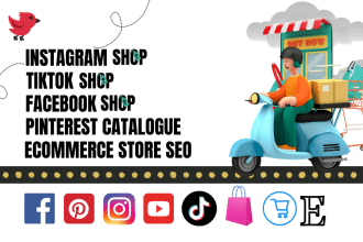tiktok shop facebook shop instagram shop  pinterest catalogue shopify website