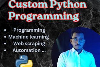 do python programming projects