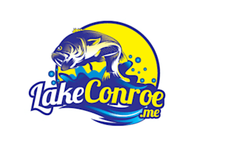 create a polished fish logo for your company