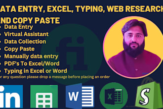 do manual data entry and copy past or any fast  typing job