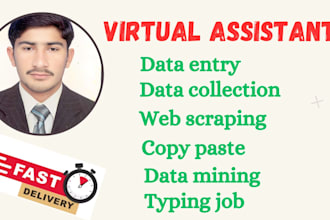 do low price urgent fastest data entry work web scraping and copypaste