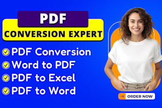 do convert PDF to word, pdf to excel, word document, file conversion