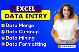 do excel data entry expert, excel formula, data merge and formatting