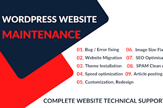 provide wordpress website maintenance and support