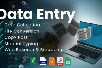 do excel data entry, convert pdf to excel, copy paste, typing , web research