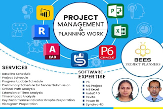 do project schedule on primavera, ms project or excel