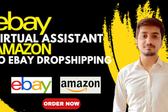 do expert amazon to ebay dropshipping top listings