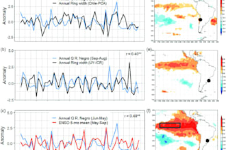 do ai and machine learning models for prediction, automation, and data analysis