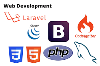 develop professional web development using PHP, laravel