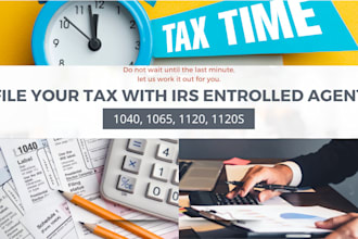 prepare and efile US tax return as irs enrolled agent