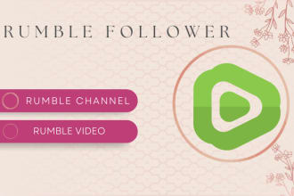 do USA rumble channel promotion shoutout rumble video skyrocket rumble followers