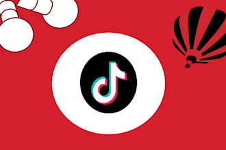 grow and promote your tiktok account organically to high quality audience