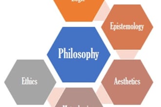 do philosophy text, ethical dilemma, argument analysis, reports, essay, research