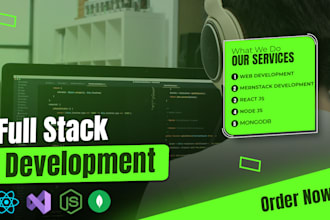 do your full stack web development in react js and node js