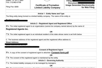 register your US llc in texas state