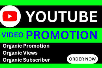 do organic youtube video promotion