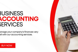 provide USA accounting and bookkeeping services for your business