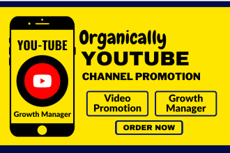 do organic youtube video promotion and channel marketing by social media