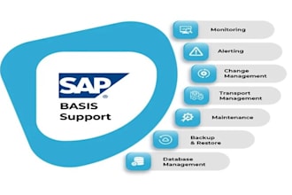 assist you with sap b1 administration, b1 reporting and b1 analysis task