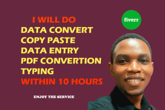 do copy paste typing, data entry, PDF convertion