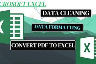 do excel data cleaning and formatting, convert pdf to excel