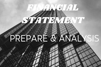 perform financial, managerial and statistical analysis