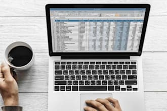 do professional data entry work proficient