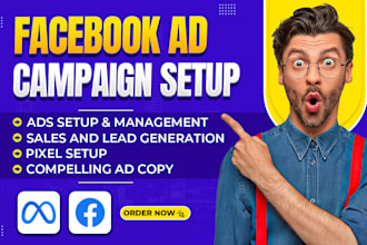 do fast fb ads campaign set up and management