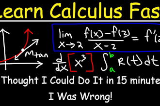 assist you in calculus and integration