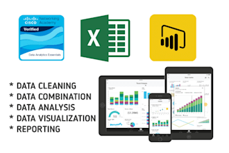 do excel pivot tables, charts, reports,power bi dashboards