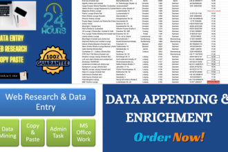 do data enrichment and data entry