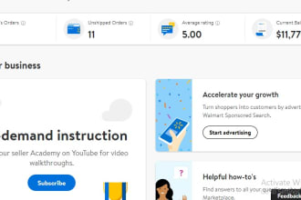 be your walmart dropshipping and wfs virtual assistant VA