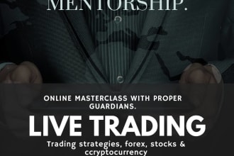 provide you with one on one mentorship on forex on strategies like price action