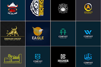premium logo design service