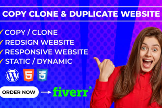 copy, clone or duplicate any website