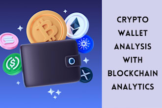 conduct crypto wallet investigation and blockchain analytics
